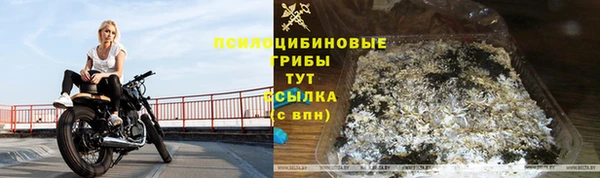 стафф Алзамай