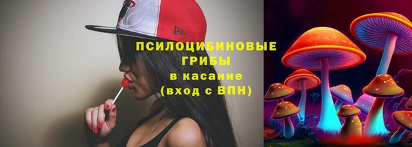 стафф Алзамай