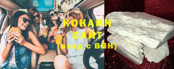 стафф Алзамай