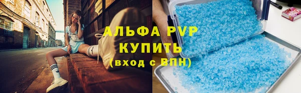 стафф Алзамай