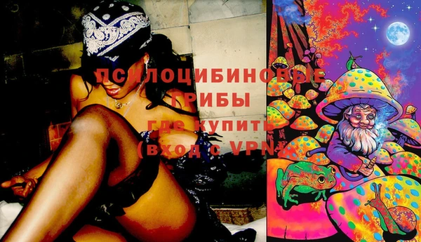 ПСИЛОЦИБИНОВЫЕ ГРИБЫ Алексин