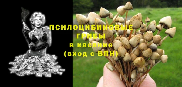 ПСИЛОЦИБИНОВЫЕ ГРИБЫ Алексин