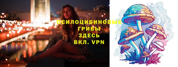стафф Алзамай